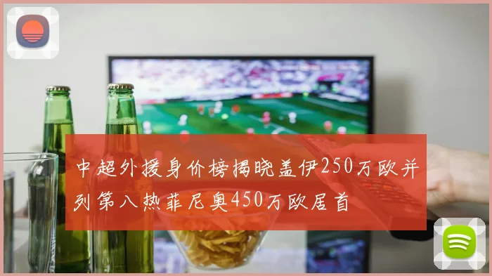 中超外援身价榜揭晓盖伊250万欧并列第八热菲尼奥450万欧居首